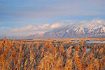 Wasatch Mountains from Ogden Bay