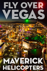 Nevada Dallas Maverick-Aviation-Vegas-Banner-2022
