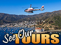 California Orange County Maverick-Catalina-Tours