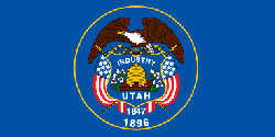 State Flag