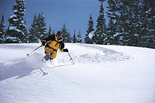 Powder Mountain Resort