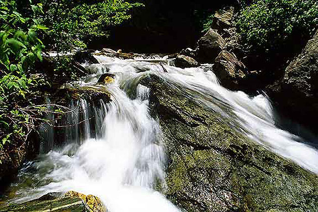 Ogden River