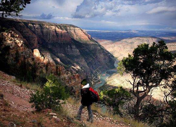 Whirlpool Canyon