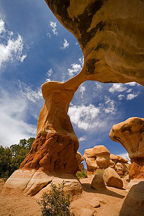 Metate Arch