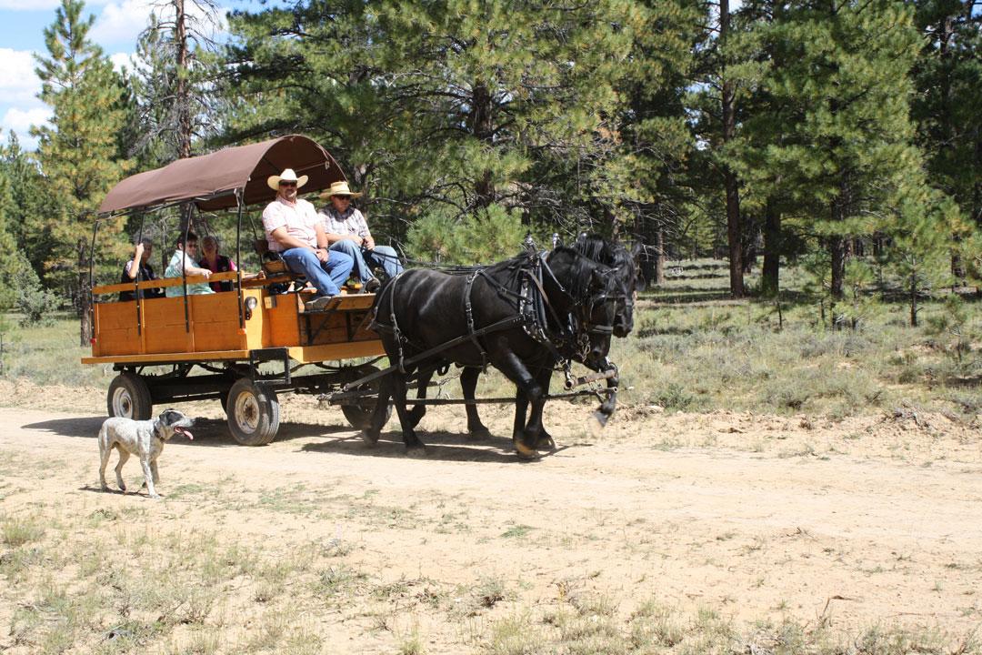 tourism companies in utah