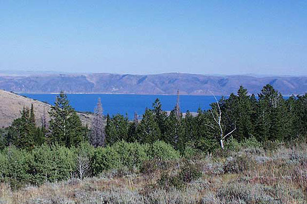 Bear Lake Overhead