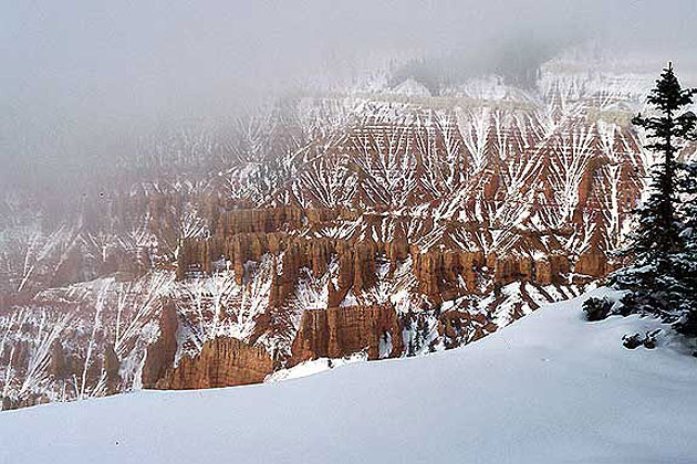 Cedar Breaks Winter