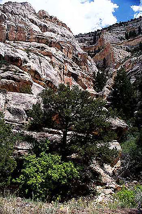 Dinosaur National Monument