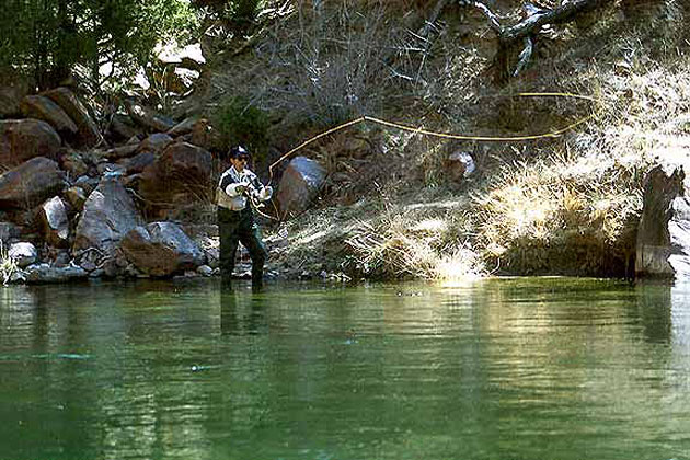 Green River Fishing