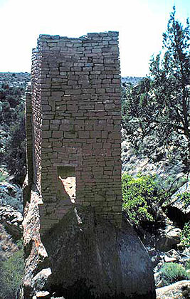 Holly Tower