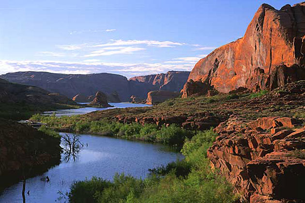 Verdant Channel