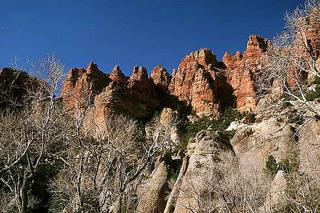 Markagunt Plateau