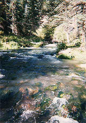 Mammoth Springs