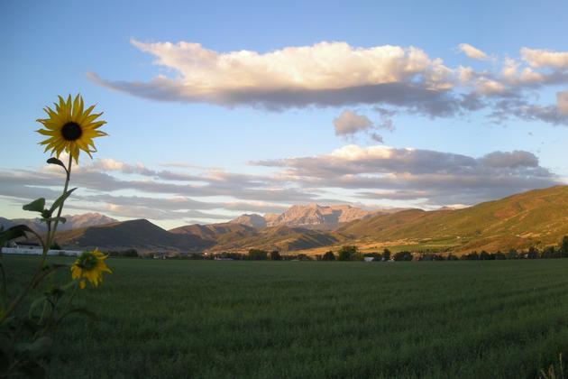 Timpanogos in Spring