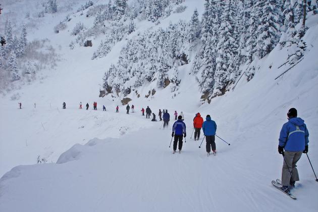 Snowbird Traffic