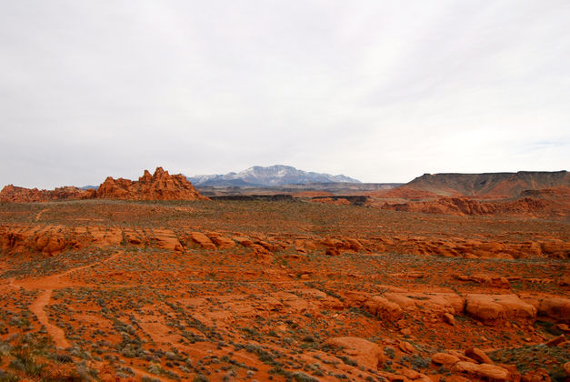 Chuckwalla Hiking Area