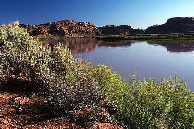 Colorado River