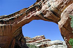 Natural Bridges National Monument