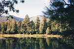 Pine Valley Reservoir