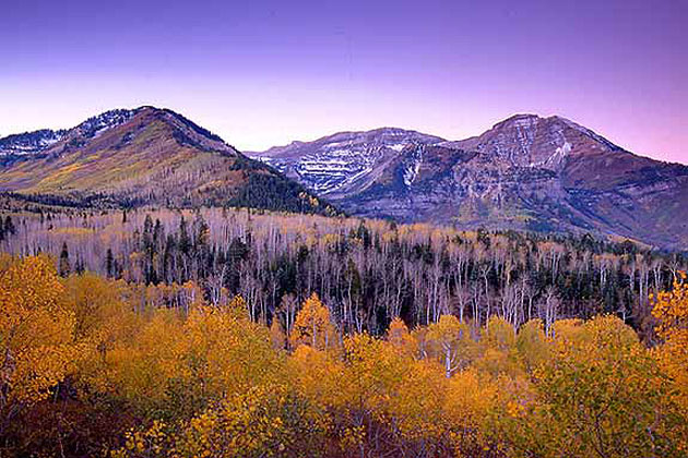 The Alpine Loop