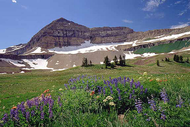 Mt. Timpanogos