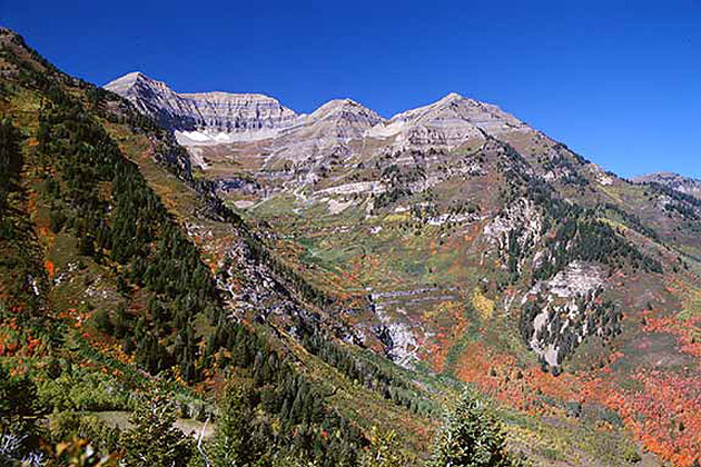 Mt. Timpanogos