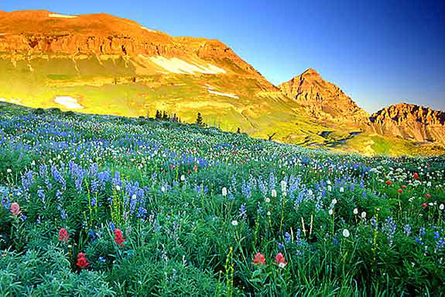 Mt. Timpanogos