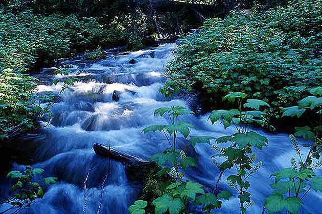 Tumbling River