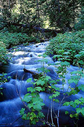 Tumbling River