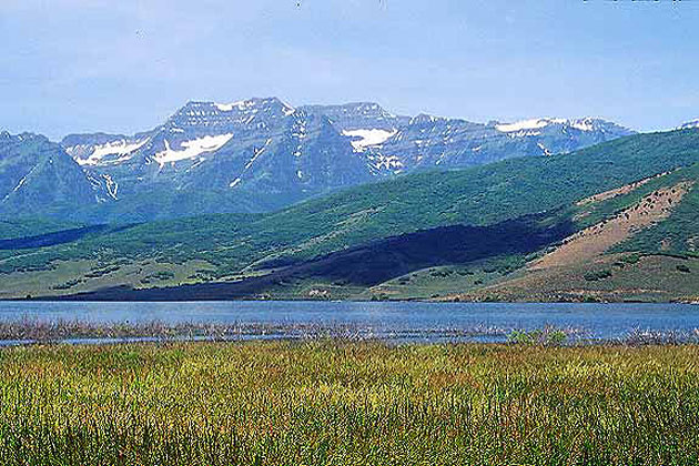 Mt Timpanogos