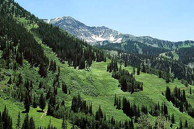 Alta Ski Area