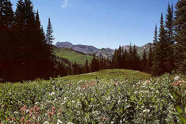 Little Cottonwood Canyon