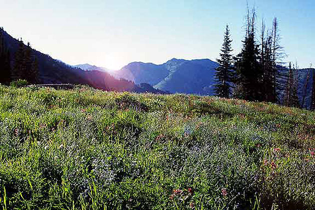 Albion Basin