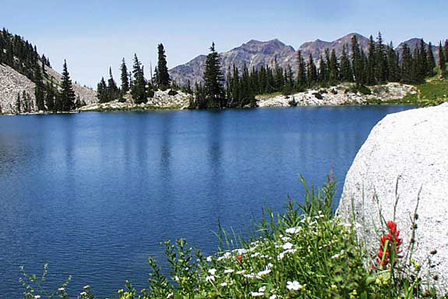 Red Pine Lake Trail