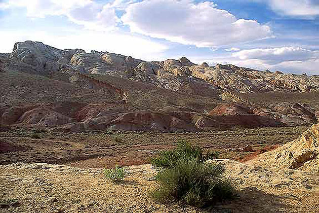 Desert Landscape