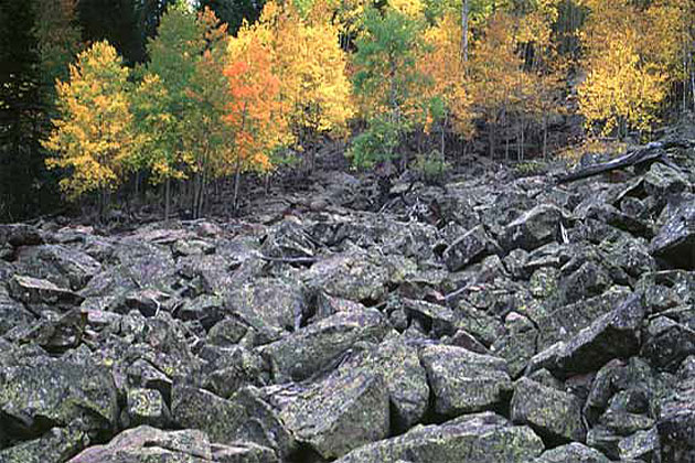 Fall Colors