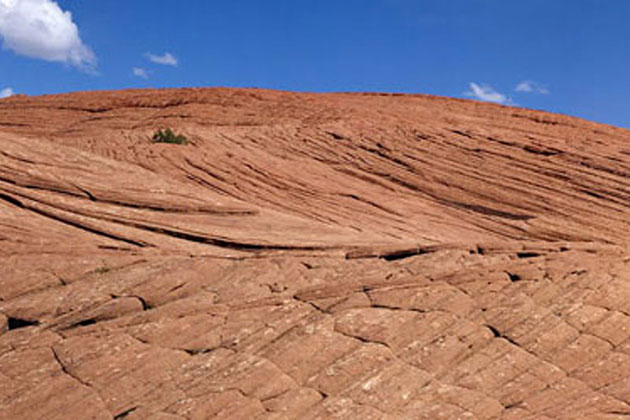 Petrified Dunes in Snow Canyon