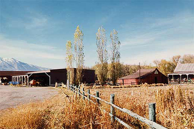 Jensen Farm
