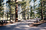 Spruces Campground