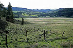 Panguitch Meadow
