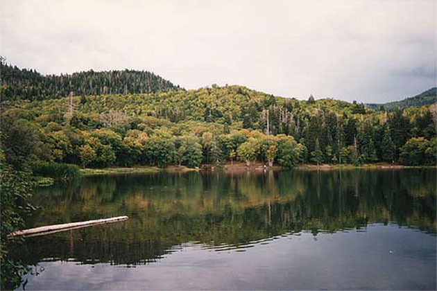 Payson Lake