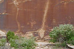 Buckhorn Petroglyph